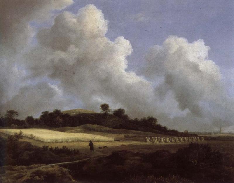 Jacob van Ruisdael View of Grainfields with a Distant town France oil painting art